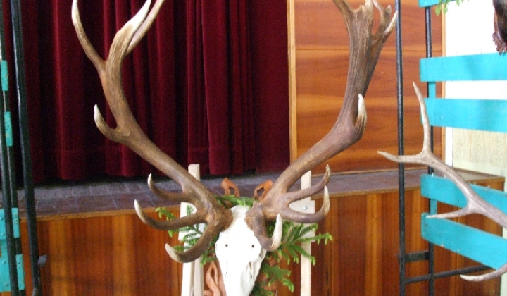 Hrušovské Májové dni 2009 Výstava poľovníckych a rybárskych trofejí