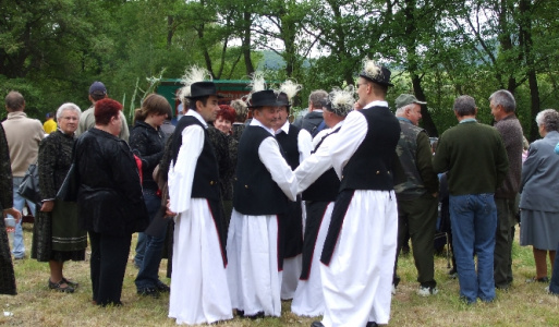 Hrušovské májové dni 2008 Vystúpenie folklórnych súborov 