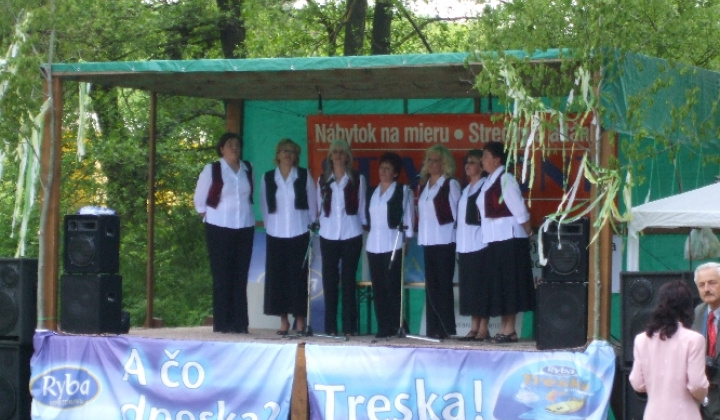 Hrušovské májové dni 2008 Vystúpenie folklórnych súborov