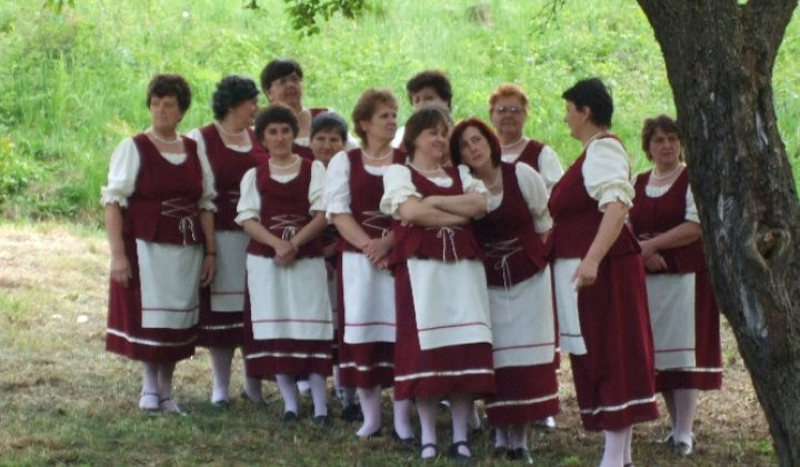 Hrušovské májové dni 2008 Vystúpenie folklórnych súborov